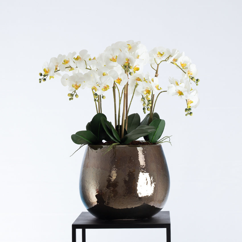 Pot Koos Metaalglans S