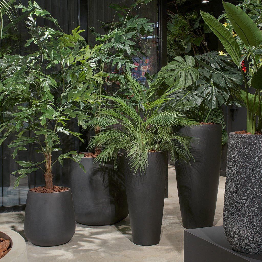 Plantenbak Pax - Zwart - D44 H46