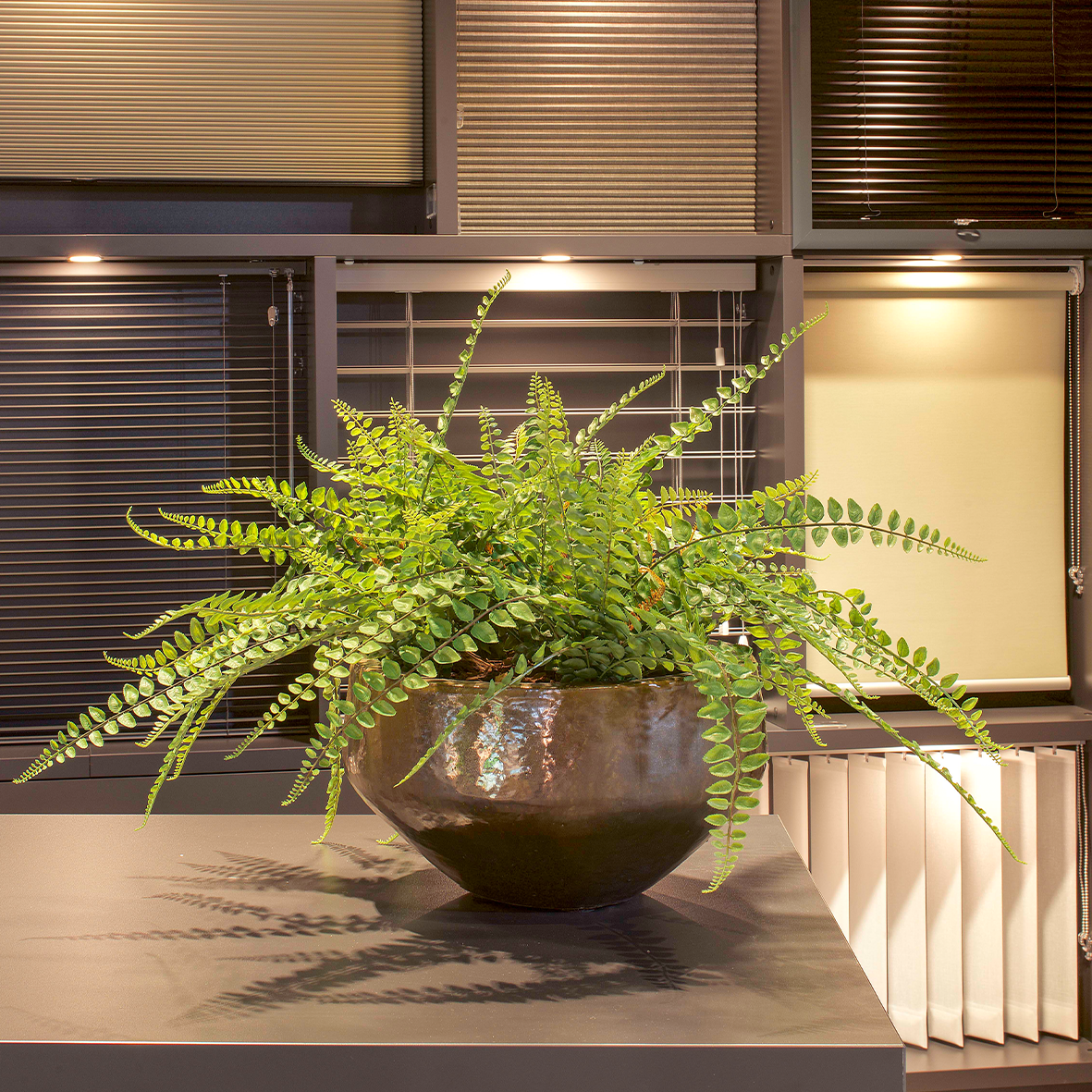 Schaal Sjaan Metaalglans S