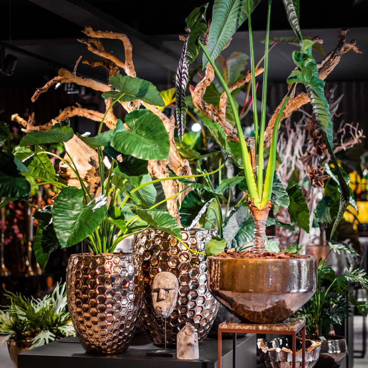 Schaal Sjaan Metaalglans L