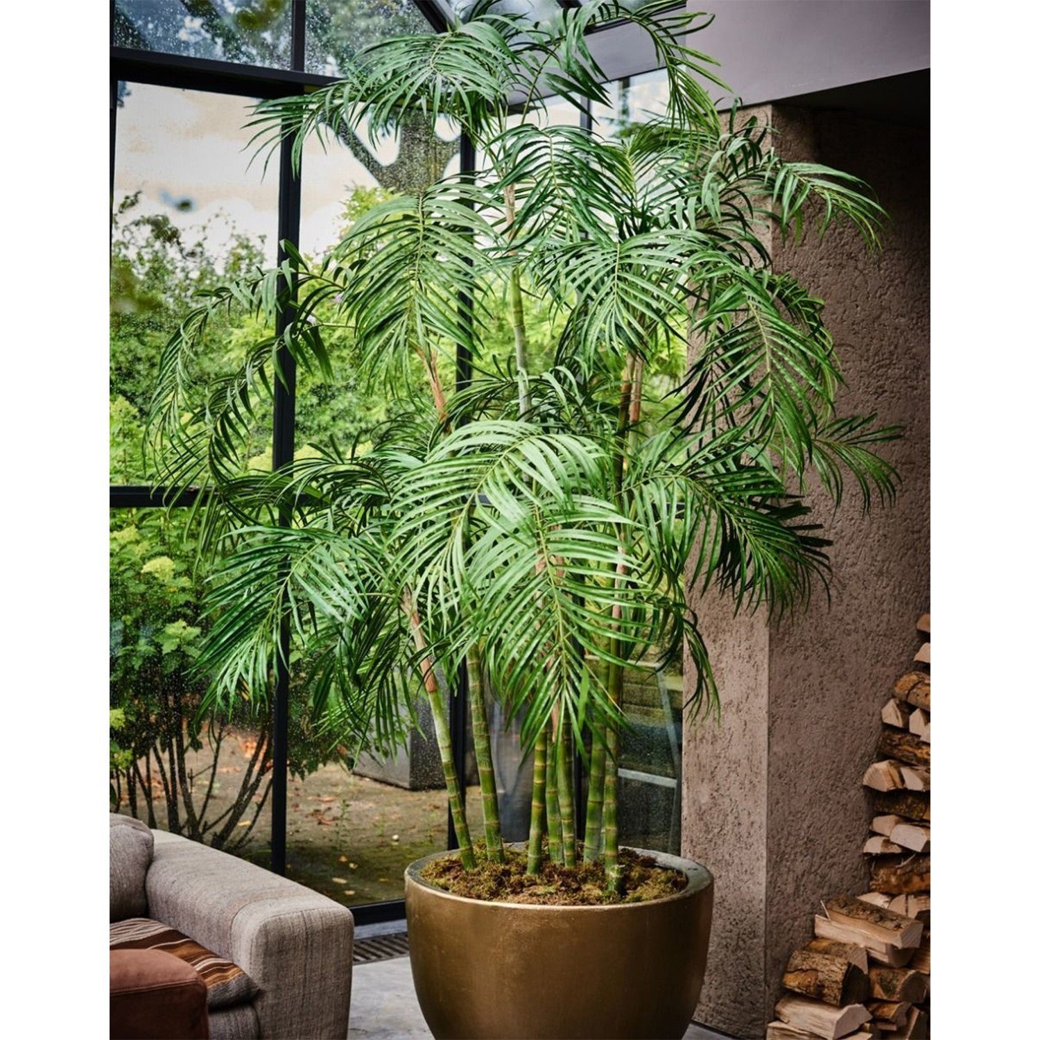 Plant Palm Groen | 274 cm