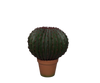 Plant Succulent groen | 44 cm