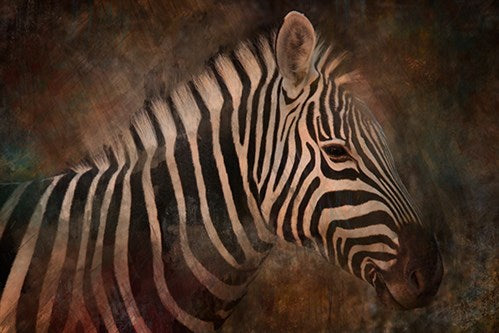 Foto Art - 'Tranquil'