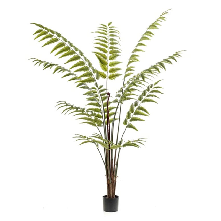 Kunstplant Varen palm - Groen - H180