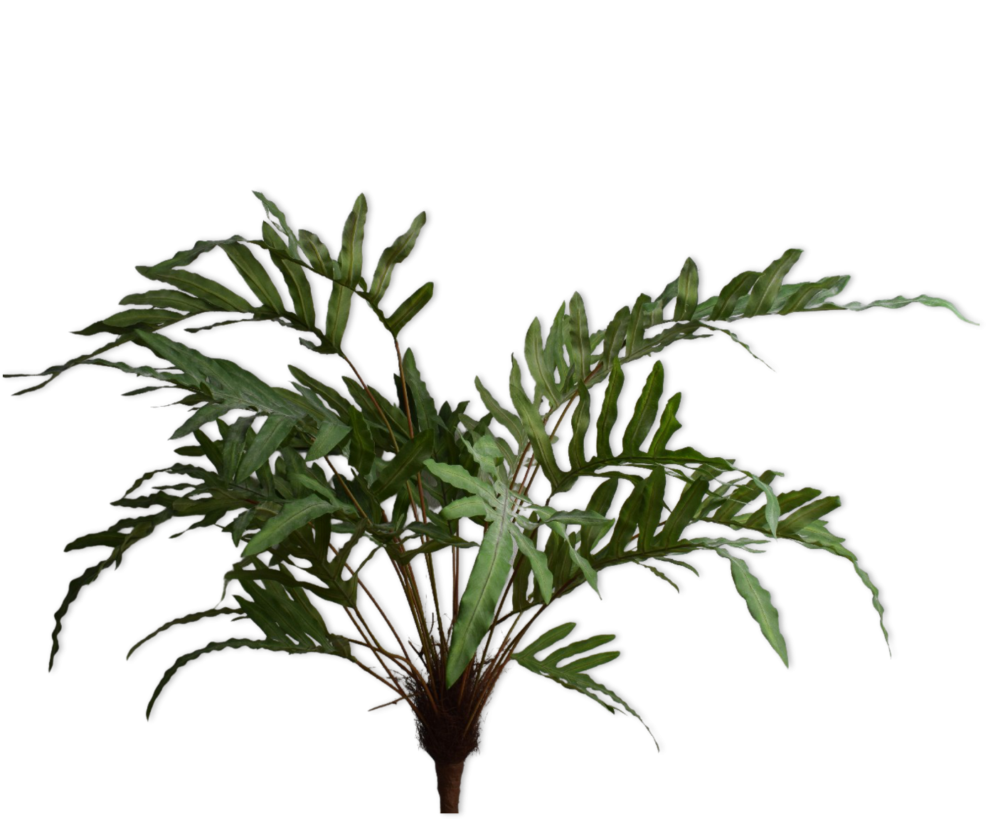 Plant Varen groen | 112 cm