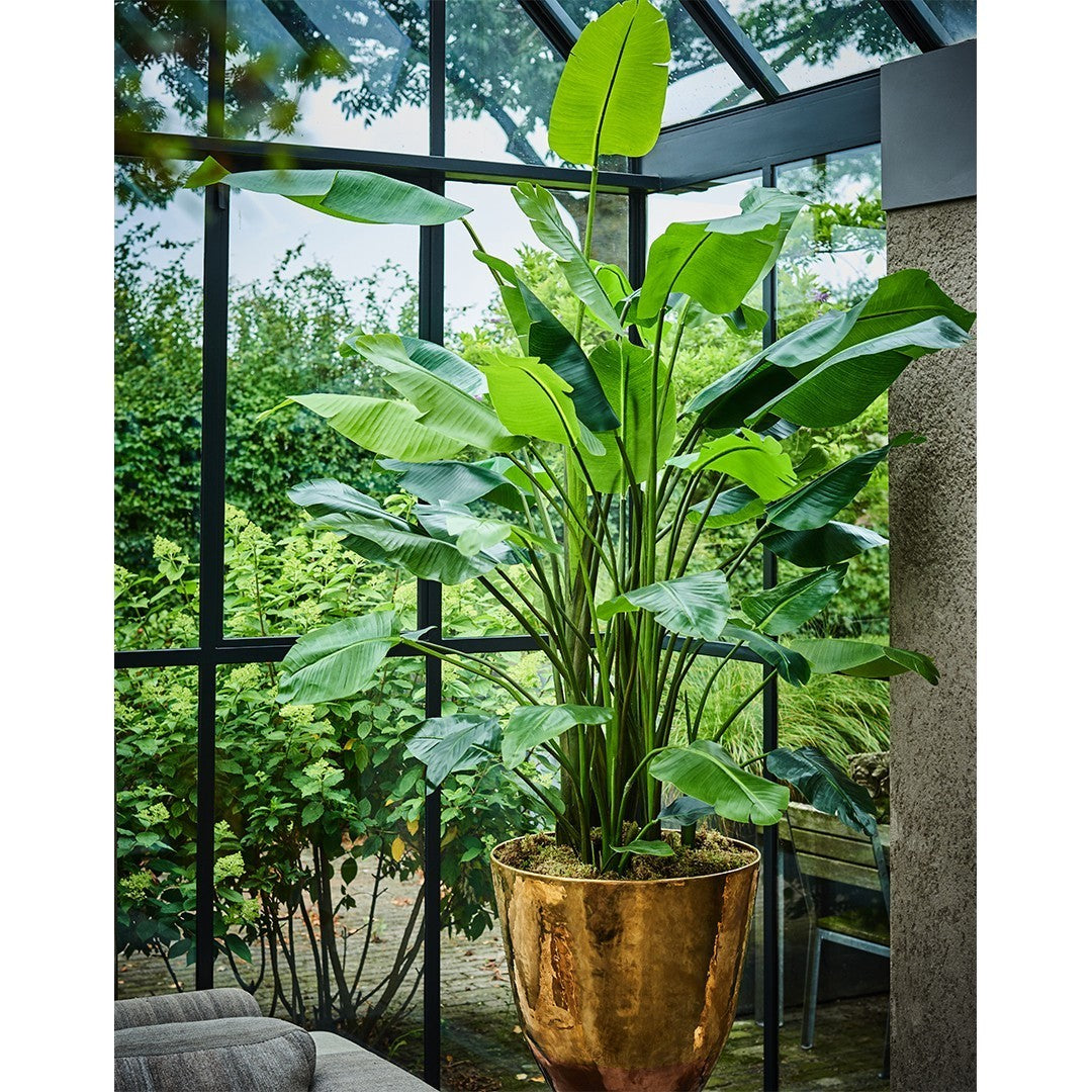 Plant Groen | 183 cm groot Silk-ka -